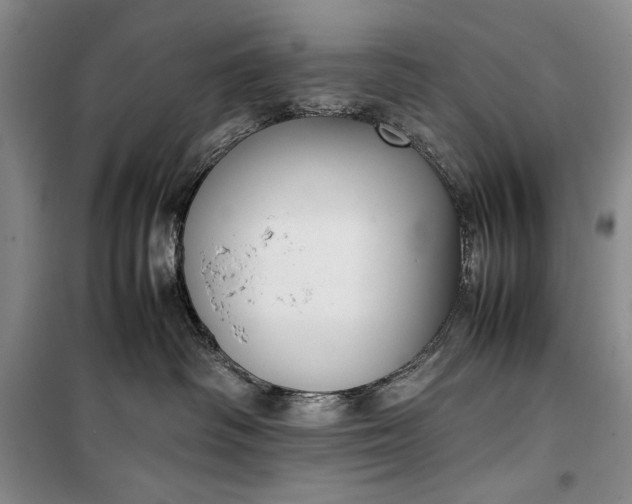 X0000100190334200806131213