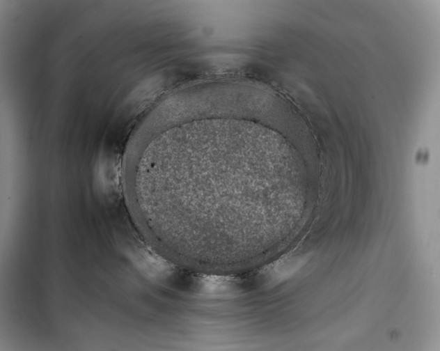 X0000100190336200806131213