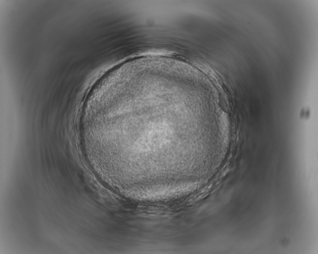 X0000100190337200806131212