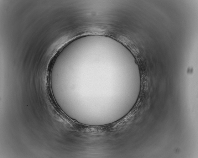 X0000100190338200806131212