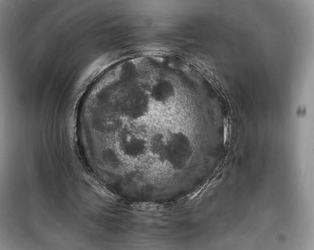 X0000100190339200806131212