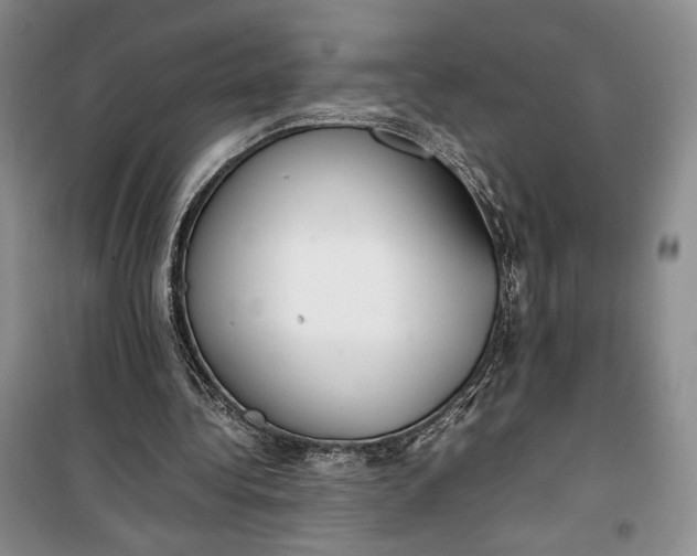 X0000100190340200806131212