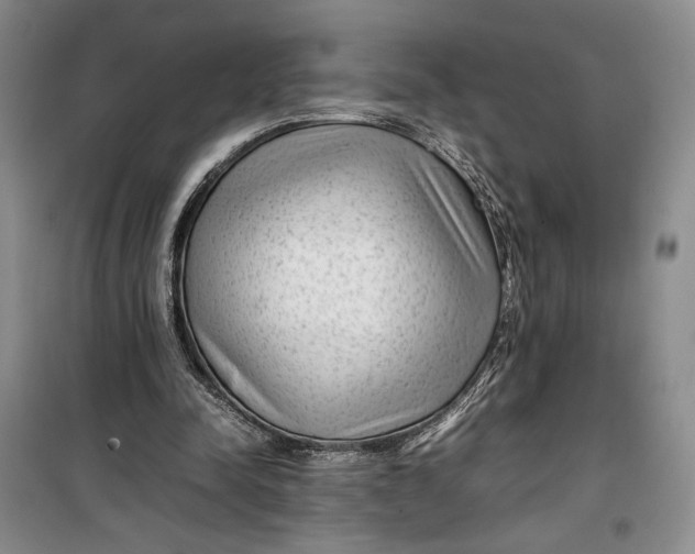 X0000100190342200806131212