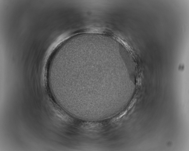 X0000100190343200806131212