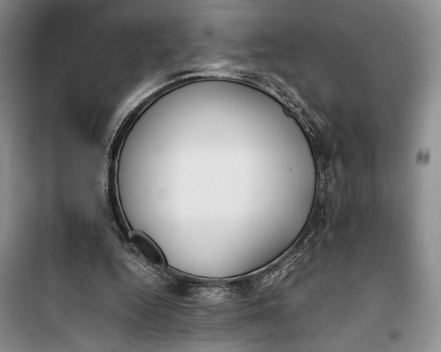 X0000100190344200806131212