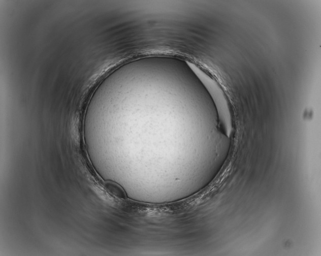 X0000100190345200806131212