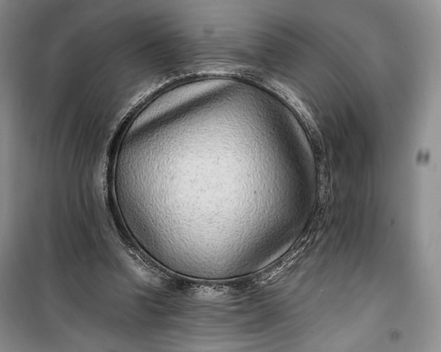 X0000100190346200806131212