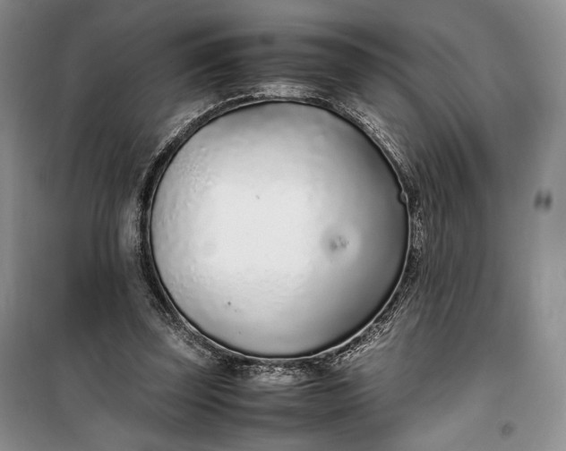 X0000100190347200806131212