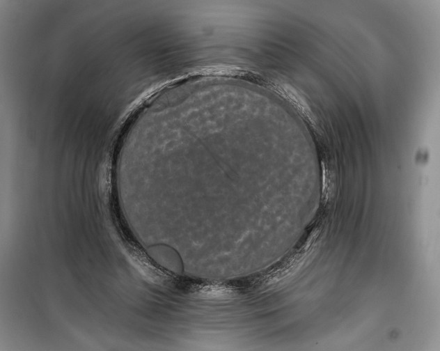 X0000100190348200806131212