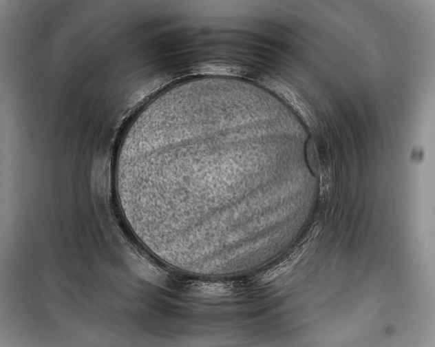 X0000100190349200806131212