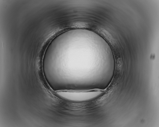 X0000100190351200806131212