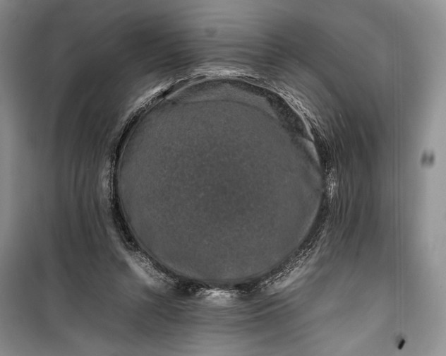 X0000100190352200806131212