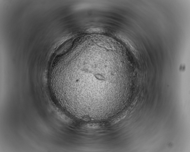 X0000100190353200806131212