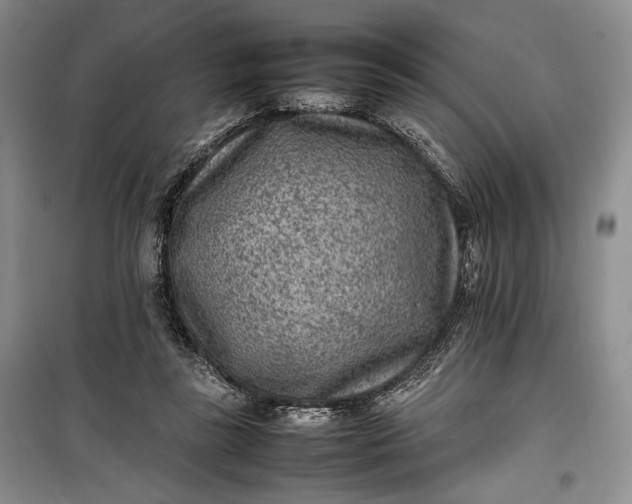 X0000100190355200806131212