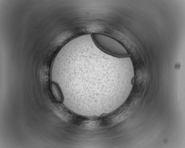 X0000100190356200806131212