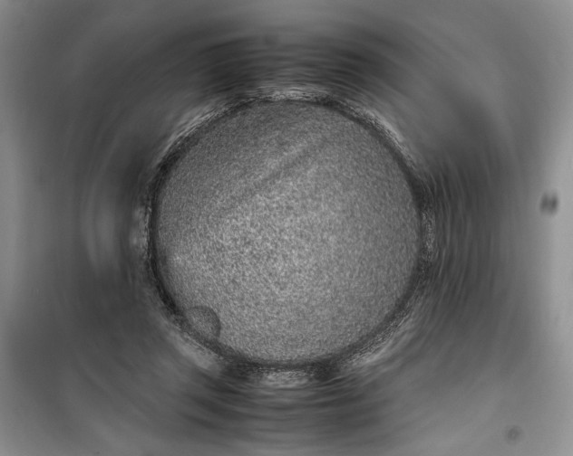 X0000100190357200806131212