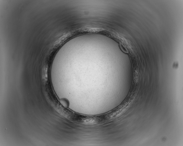 X0000100190358200806131212