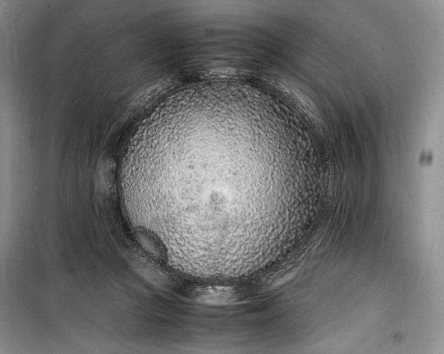 X0000100190361200806131213