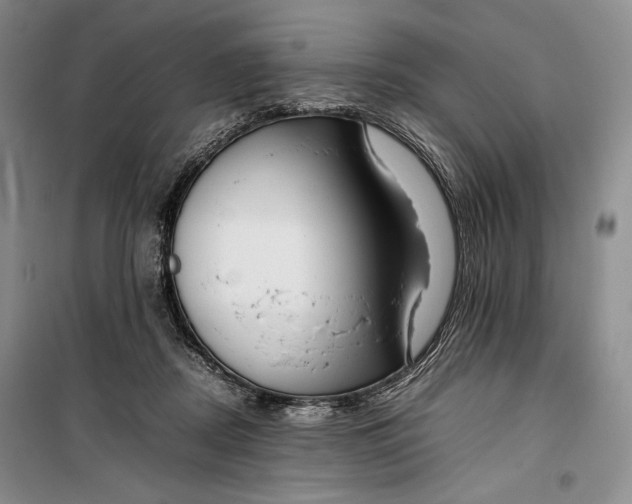 X0000100190362200806131213