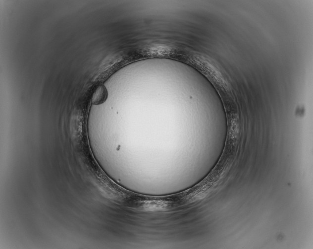 X0000100190363200806131213