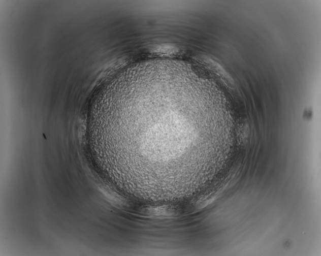 X0000100190365200806131213