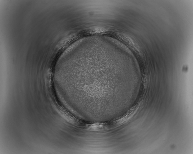 X0000100190366200806131213