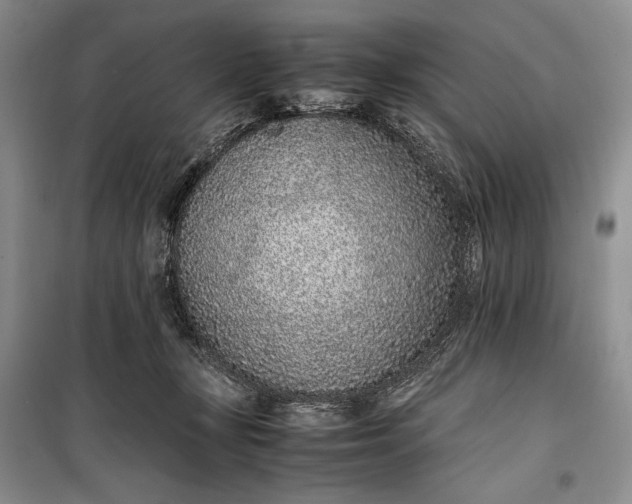 X0000100190367200806131213