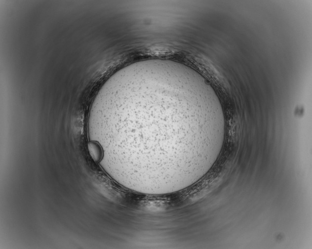 X0000100190368200806131213