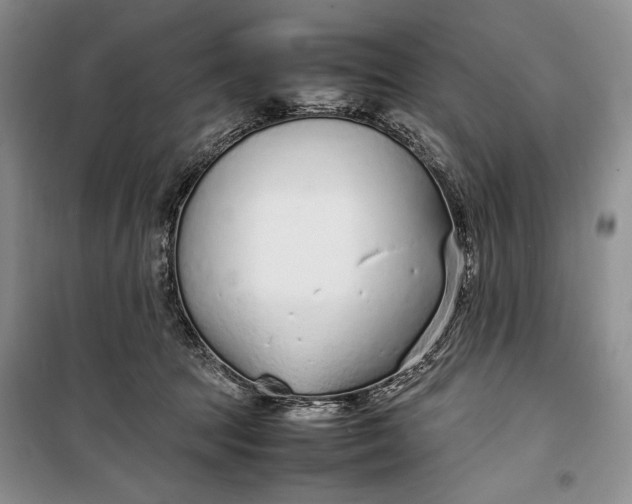 X0000100190369200806131213