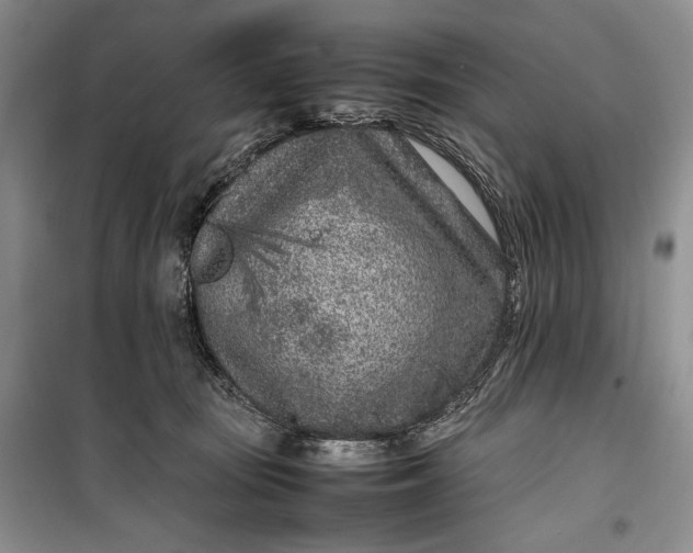 X0000100190371200806131213