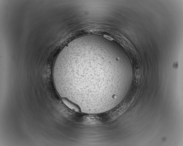 X0000100190372200806131213