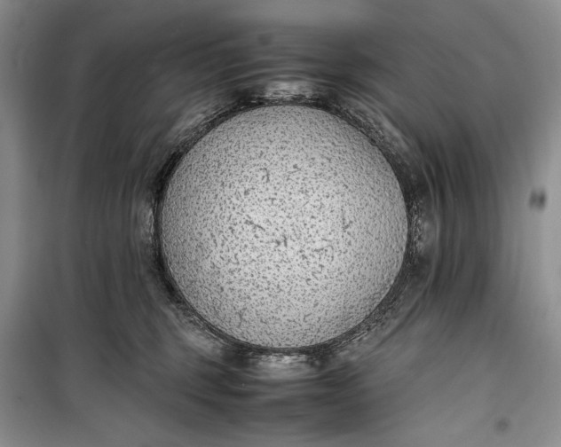 X0000100190375200806131213