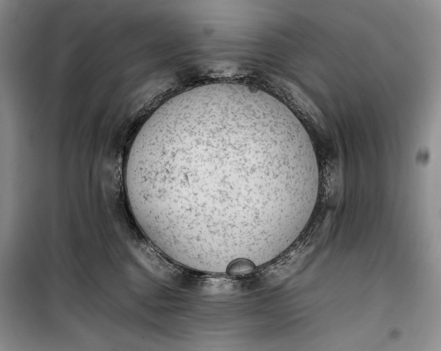 X0000100190376200806131213