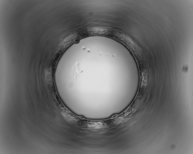 X0000100190377200806131213