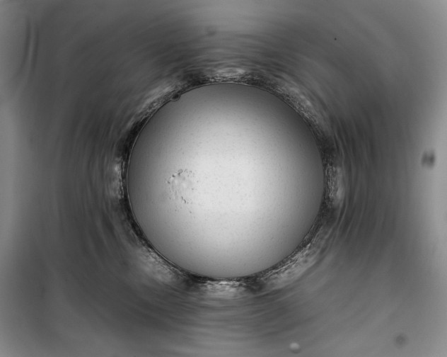 X0000100190378200806131213