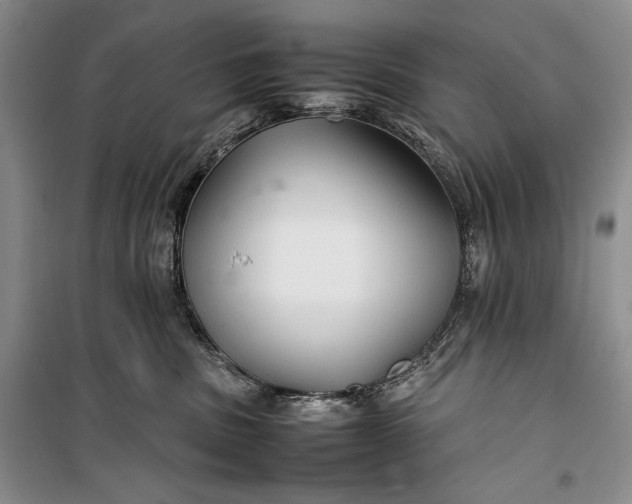 X0000100190379200806131213