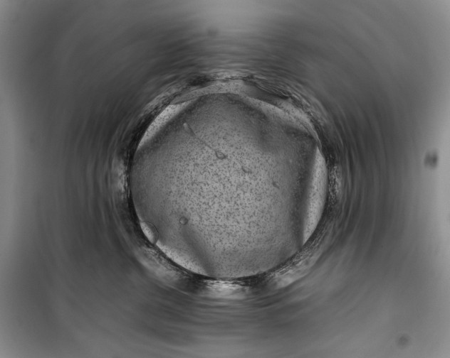 X0000100190380200806131213