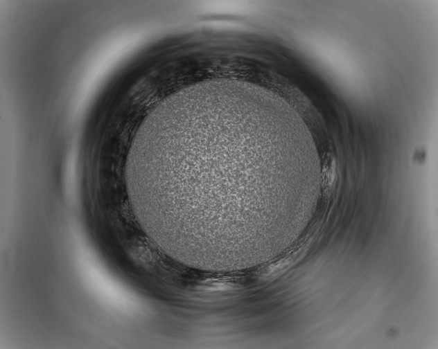 X0000100190381200806131213