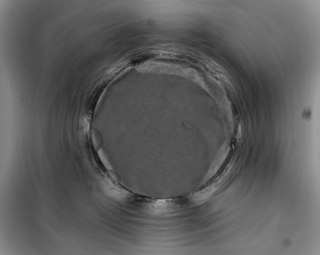 X0000100190382200806131213