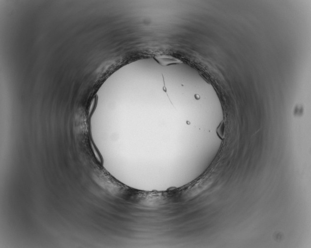 X0000100190384200806131213