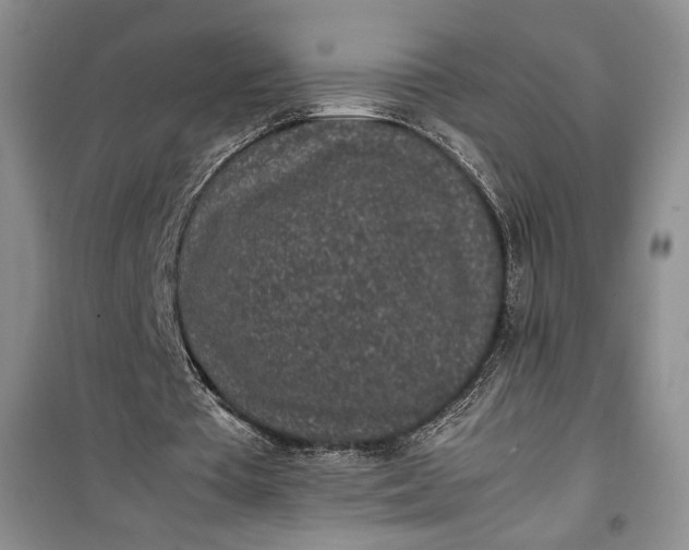 X0000100190385200806131212