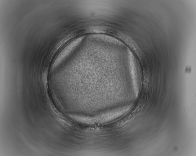 X0000100190386200806131212