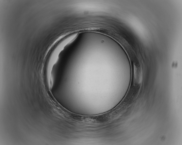 X0000100190387200806131212