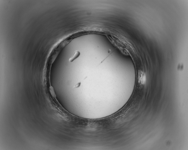 X0000100190388200806131212