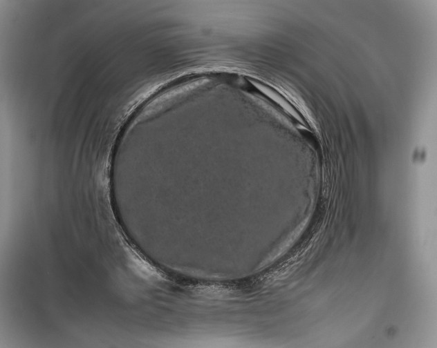 X0000100190389200806131212