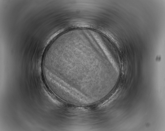 X0000100190390200806131212