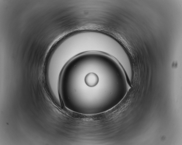 X0000100190392200806131212