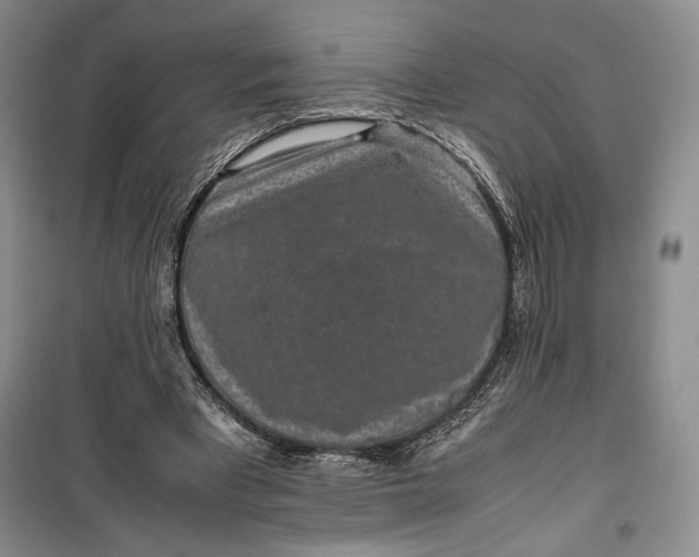 X0000100190393200806131212