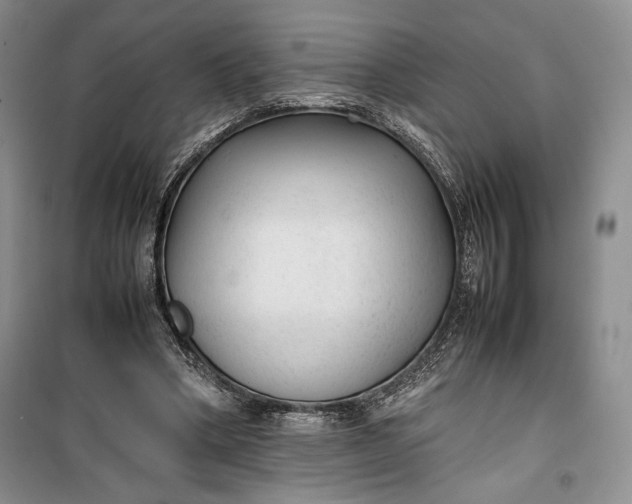 X0000100190394200806131212