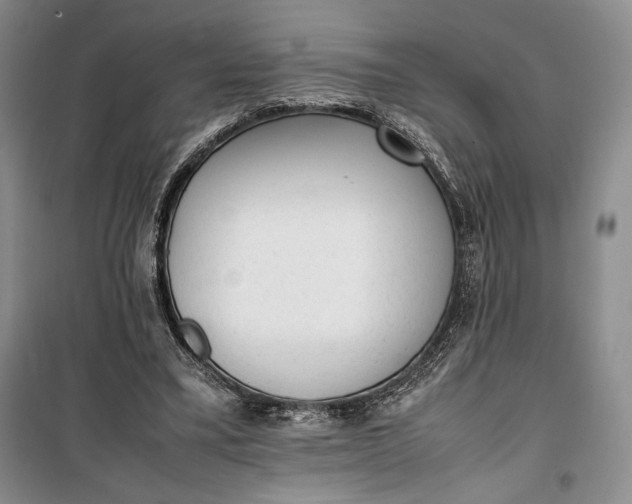 X0000100190395200806131212